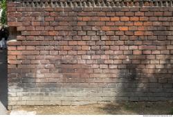 Photo Texture of Wall Bricks